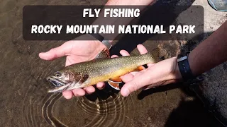 Fly Fishing Rocky Mountain National Park || Cutthroat and Brookies