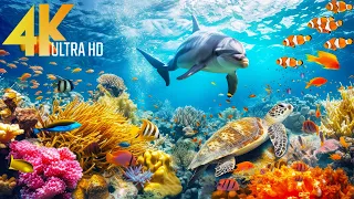 Aquarium 4K VIDEO (ULTRA HD) 🐠 Beautiful Coral Reef Fish - Relaxing Sleep Meditation Music