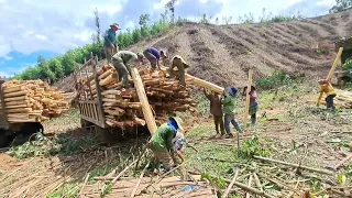 Full video: The final shipment of three trucks and strong farmers