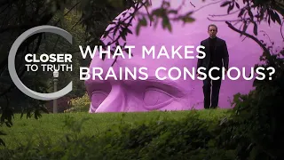 What Makes Brains Conscious? | Episode 706 | Closer To Truth