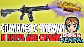 Я НАКОНЕЦ СПАЛИЛ ЕГО ЧИТЫ И ПОЛУЧИЛ ЗА ЭТО СТРАЙК! PUBG MOBILE BOSS SENPAI