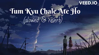 Tum Kyu Chale Ate Ho - Vicky Singh song | [slowed + reverb + lofi mix] | lofi song