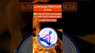 🔥Очисти Свой Организм От Вирусов и Инфекций | #медитация #медитации #рейки #исцеление