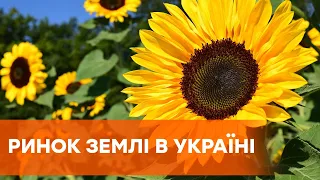 Рынок земли в Украине-2020: найдут ли агрохолдинги общий язык с пайщиками