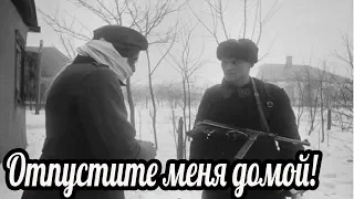 "Отпустите домой". Почему слёзы немца довели солдат РККА до колик в животе от смеха?