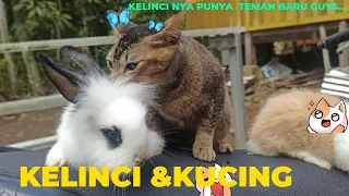 Mentang mentang dapat teman baru,  Teman lama di lupain..🤣🤣