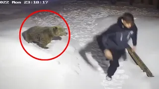 30 Scariest Bear Encounters of the Year (Part 2)