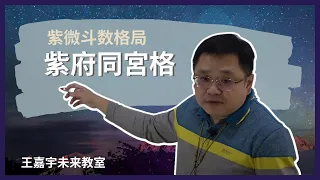 【紫微斗数格局#15】紫府同宮格｜王嘉宇未来教室