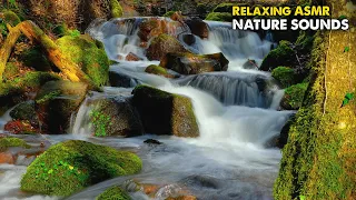 Waterfall Sounds of Flowing River Water for Sleep, Relaxang, Brain therapy, Meditation, Study, Stres