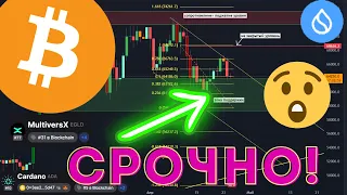 Биткоин! Срочно! Новый цикл только начинается! Альткоины Sui, Ada, Egld