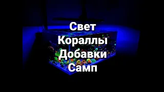 Свет, кораллы, добавки, самп.