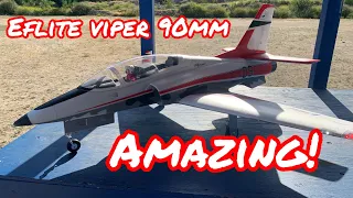 E-Flite Viper 90mm Review and Flight. Perfect EDF jet.