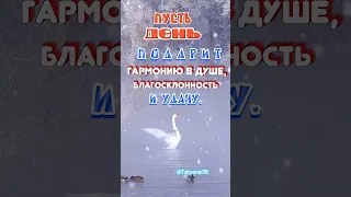 Доброе утро! Падает снег ❄️Salvatore Adamo - в исполнении японской девушки.Хорошего зимнего дня!🌲❄️