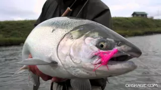 How to Catch Silver Salmon - OPST