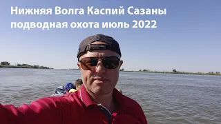 Нижняя Волга Каспий июль 2022 подводная охота на сазана, подводная охота 2022
