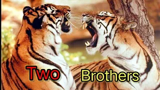 Two brothers (2004) hindi review