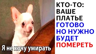 ЛЮТЫЕ ПРИКОЛЫ и МЕМЫ. ПЛАТЬЕ ГОТОВО, НО НУЖНО БУДЕТ ПОМЕРЕТЬ