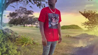 BUSY SIGNAL X CRAWBA GENIUS  - PARTY NICE [BORDER P O   RIDDIM]