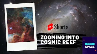 Zooming Into Cosmic Reef