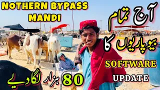 Nothern Bypass Mandi Latest Rates Update | 80k Lgadiye | 18 May 2024 | Bakra Eid Season 2024