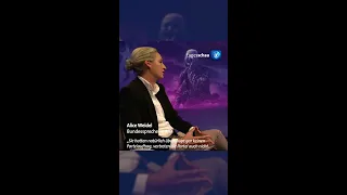 Alice Weidel bei maischberger