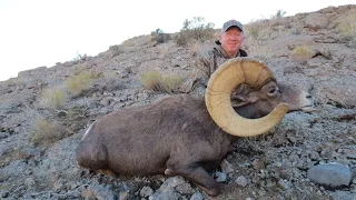 Epic Desert Bighorn Sheep Hunt, 182" Giant