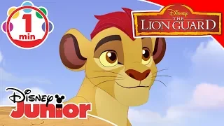 The Lion Guard | Song - Pride and Leaders Unite | Disney Channel UK