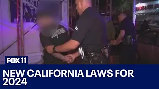 New California laws 2024
