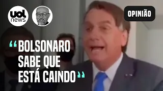 "Pesquisas demonstram que comportamento de Bolsonaro não está fazendo sucesso" | Josias de Souza