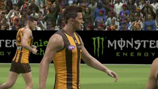 AFL 23 hawks vs demonds