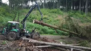 Kampf gegen den Borkenkäfer||Pfanzelt Felix 207||Forstservice Kalbe KG|| Waldsterben im Harz