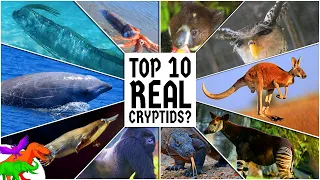 10 “Cryptids” That Turned Out to be “Real” | EDGE's Top 10s