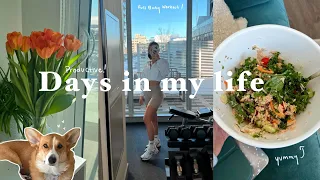 Productive Vlog: Full Body Workout, Lots of Events, Staying Productive!