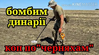 БОМБИМ ДИНАРІЇ.КОП ПО"ЧЕРНЯХАМ"