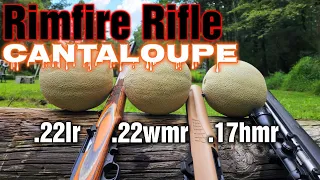 CANTALOUPES vs .22LR .22WMR .17HMR RIFLES