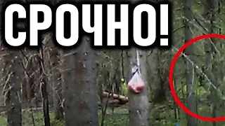 СРОЧНО! ЭТО НЕ ШУТКИ! ВИДЕО КОТОРОЕ ПРОИЗВЕЛО ФУРОР! 22.09.2020 ДОКУМЕНТАЛЬНЫЙ ФИЛЬМ HD