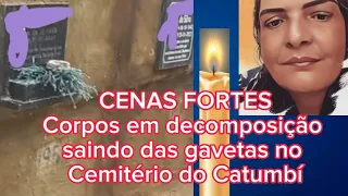 C€nas f0rtes. Vejam os corpos em decomposiç@0 sepultados em gavetas no Cemitério do Catumbi.