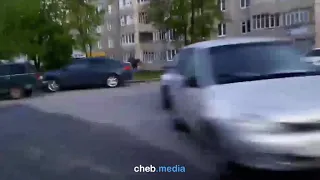 Лоси в Чебоксарах, видео от очевидцев