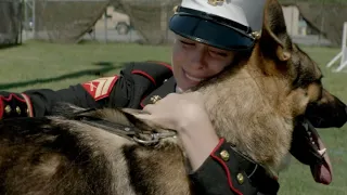 What Happened To Megan Leavey & Rex In Real Life After The 2017 Movie #videos #video