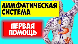 Первая ПОМОЩЬ Лимфатической Системе. Продукты для здоровья лимфы