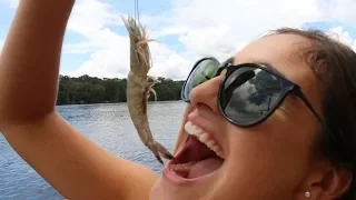 DEVOURING River Shrimp!! Catch, Clean n Cook- Low Country Boil (Welaka, Florida)