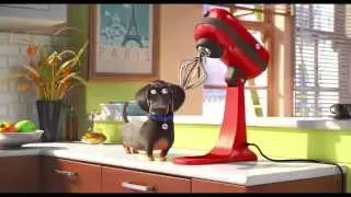 The Secret Life Of Pets - Official Teaser Trailer (HD) - Illumination.avi