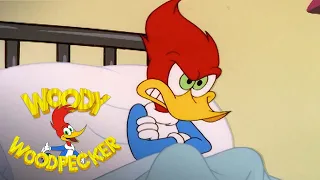 Woody Woodpecker | Woody Goes to the Hospital | Full Episode