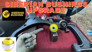 Installing Siberian Polyurethane Lower Arm Bushing - Honda Element