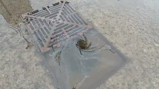 This is how I clear this drain.SO SATISFYING A WHIRLPOOLS