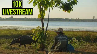 10k Livestream | Q&A On The Mekong 🇹🇭
