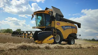 Żniwa Nowym Nabytkiem u Krzyśka 2022 | New Holland CX5.80 | Pszenica i Owies | Małopolska |