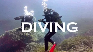 Fare DIVING in SARDEGNA: prima immersione in vita mia