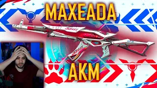 MAXEAMOS la NUEVA AKM MEJORABLE de PUBG MOBILE!