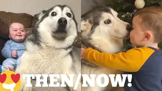 The Amazing 2 Year Story Of My Baby & Husky Becoming Best Friends! [UNSEEN CLIPS]